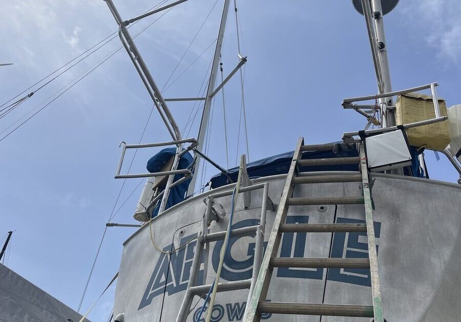 Dinghy davits
